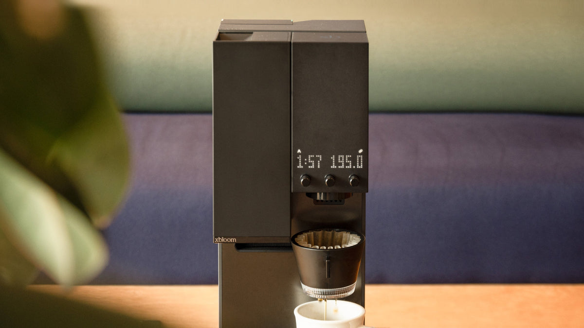 Is the xBloom Studio Worth It? An honest review from a barista