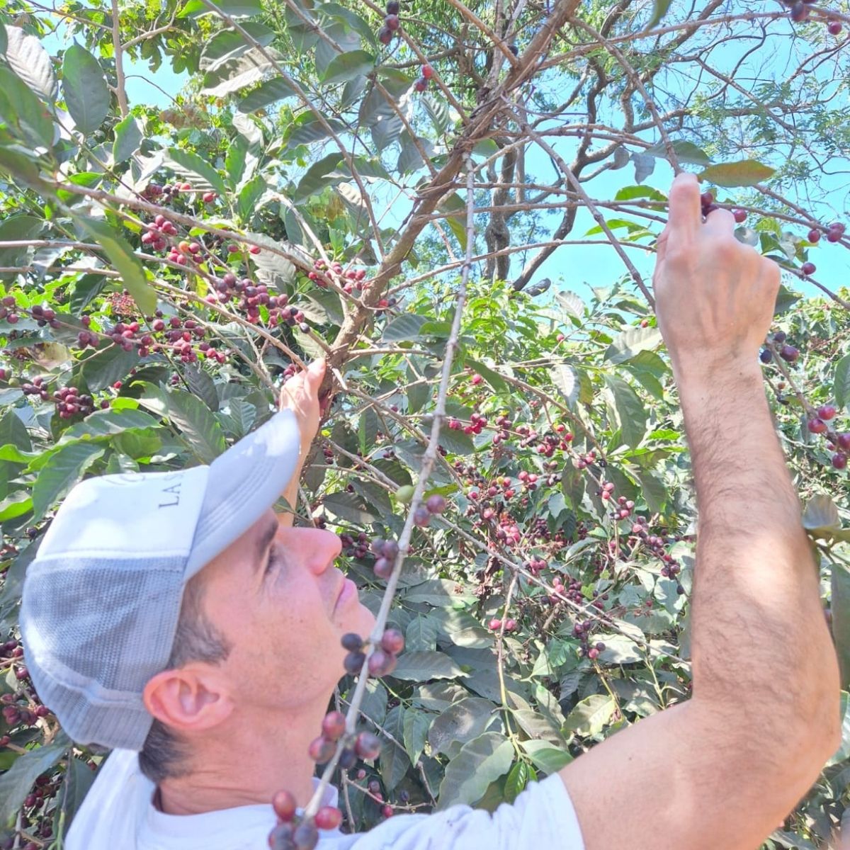 Meet the Producer: Hernan Marcovecchio - Malmö