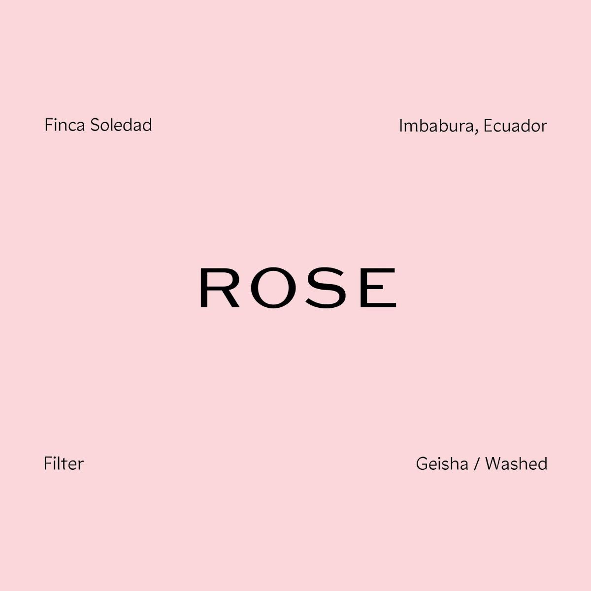 Rose - Finca Soledad Gesha