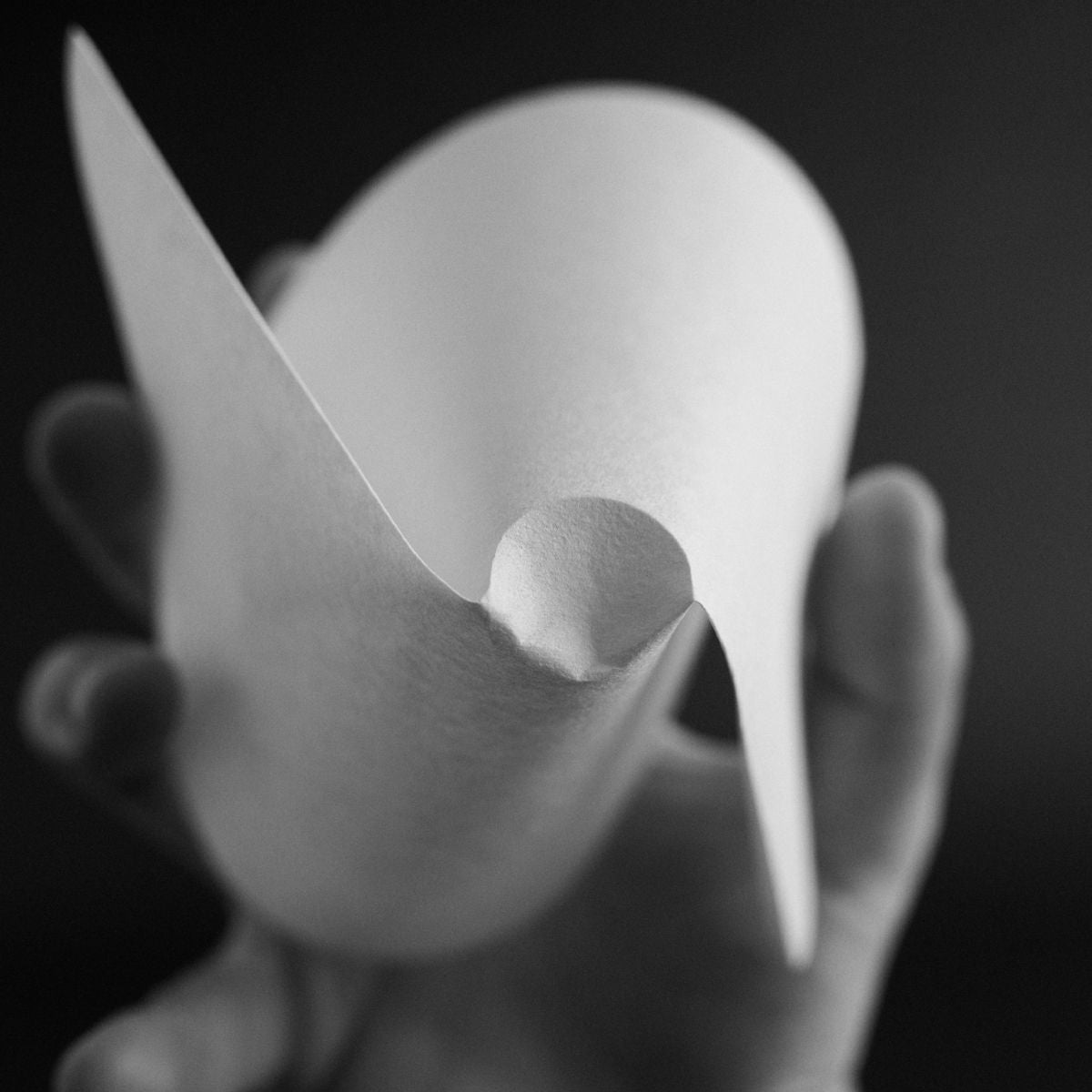 SIBARIST Hybrid - Specialty Coffee Filters with Matt Winton