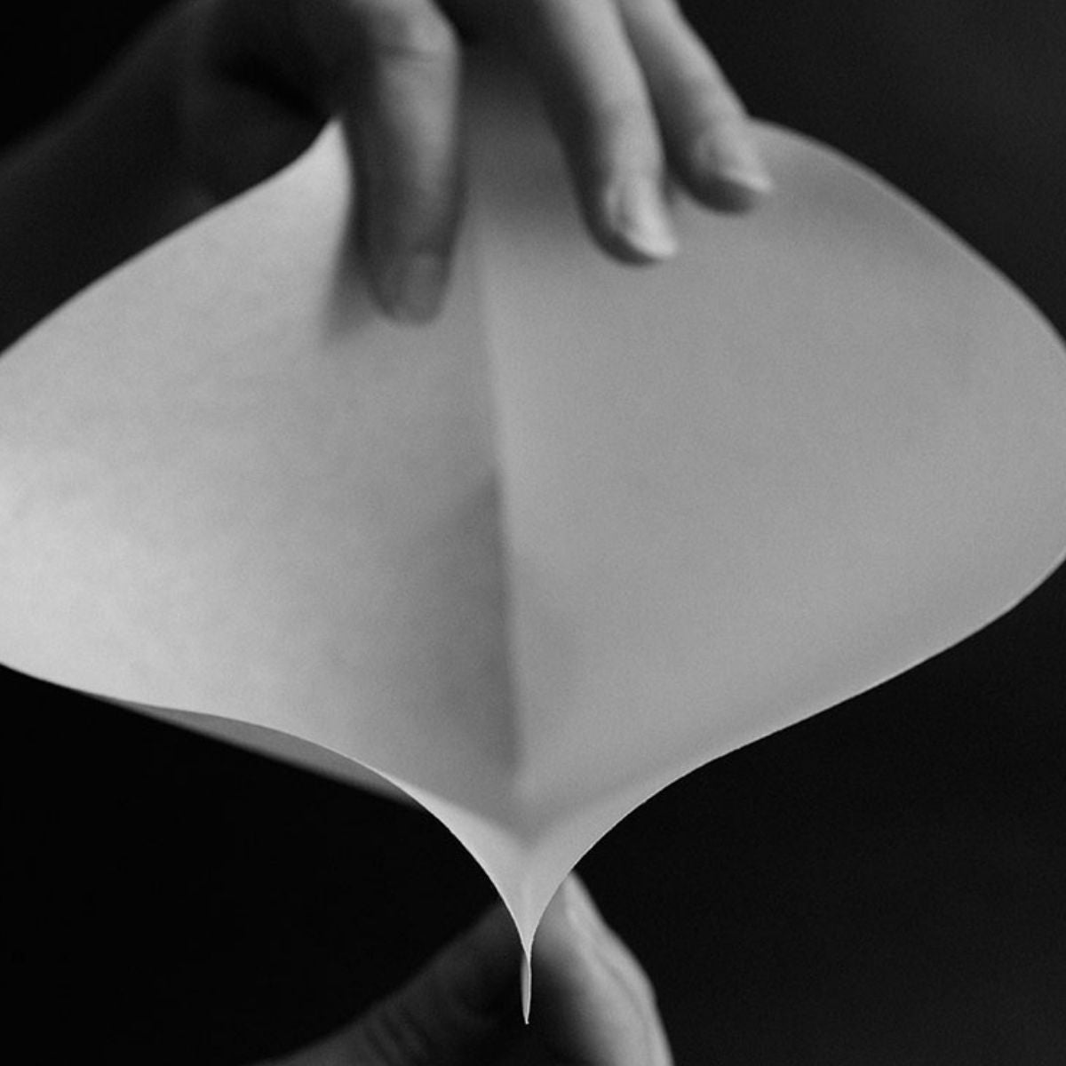 SIBARIST FAST Cone XL - Specialty Coffee Filters
