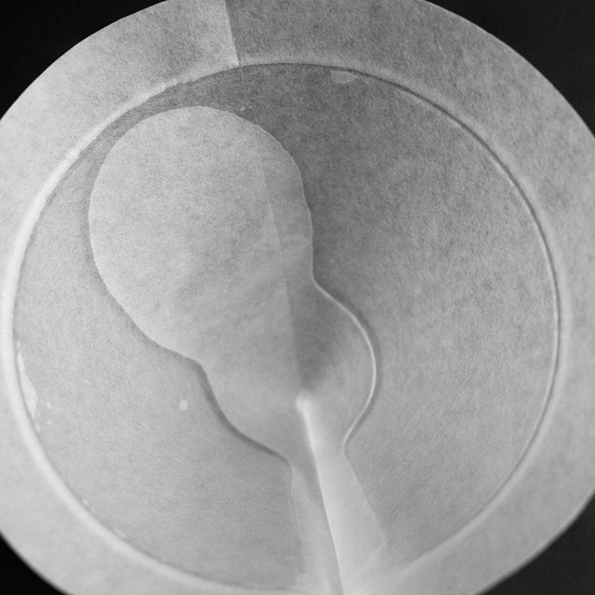 SIBARIST FAST Cone XL - Specialty Coffee Filters