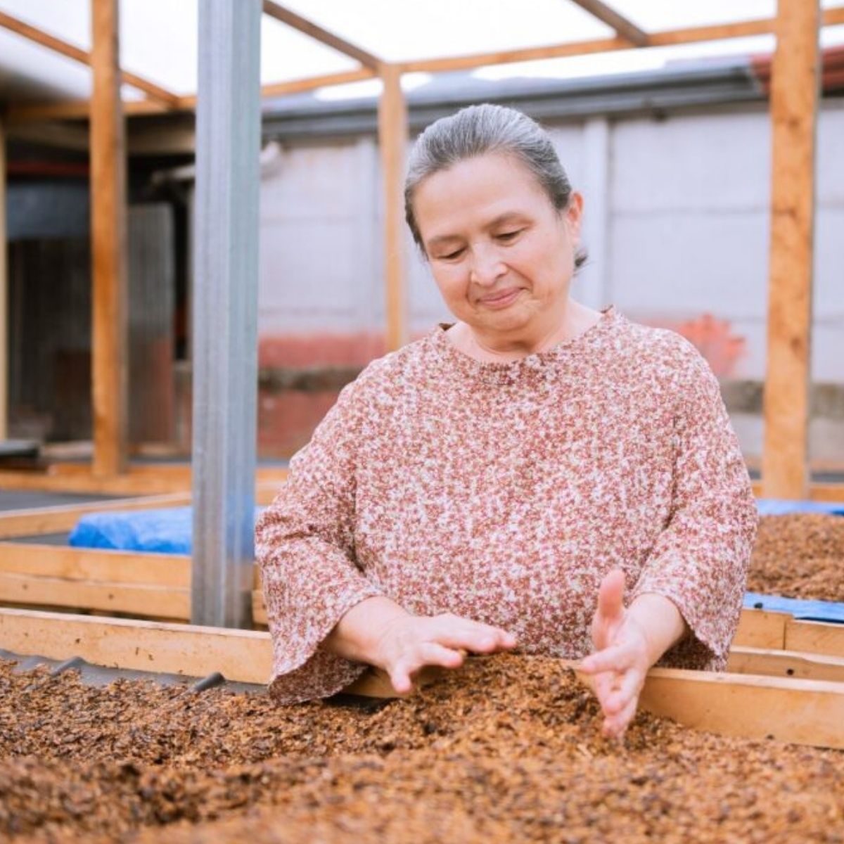 A.M.O.C - /046- Costa Rica Dota