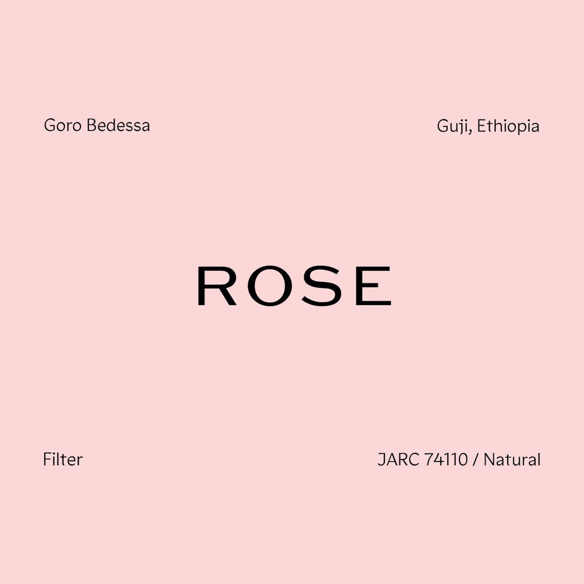 Rose - Goro Bedessa Ethiopia