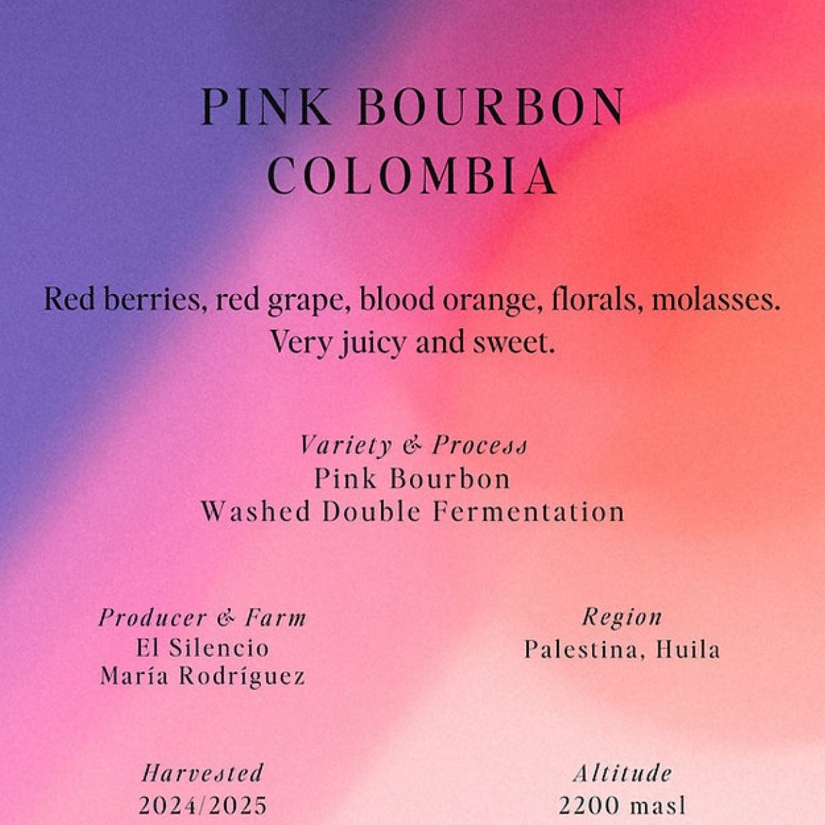 Colombia "El Silencio" Washed Double-Fermentation Pink Bourbon - Sumo Coffee Roasters