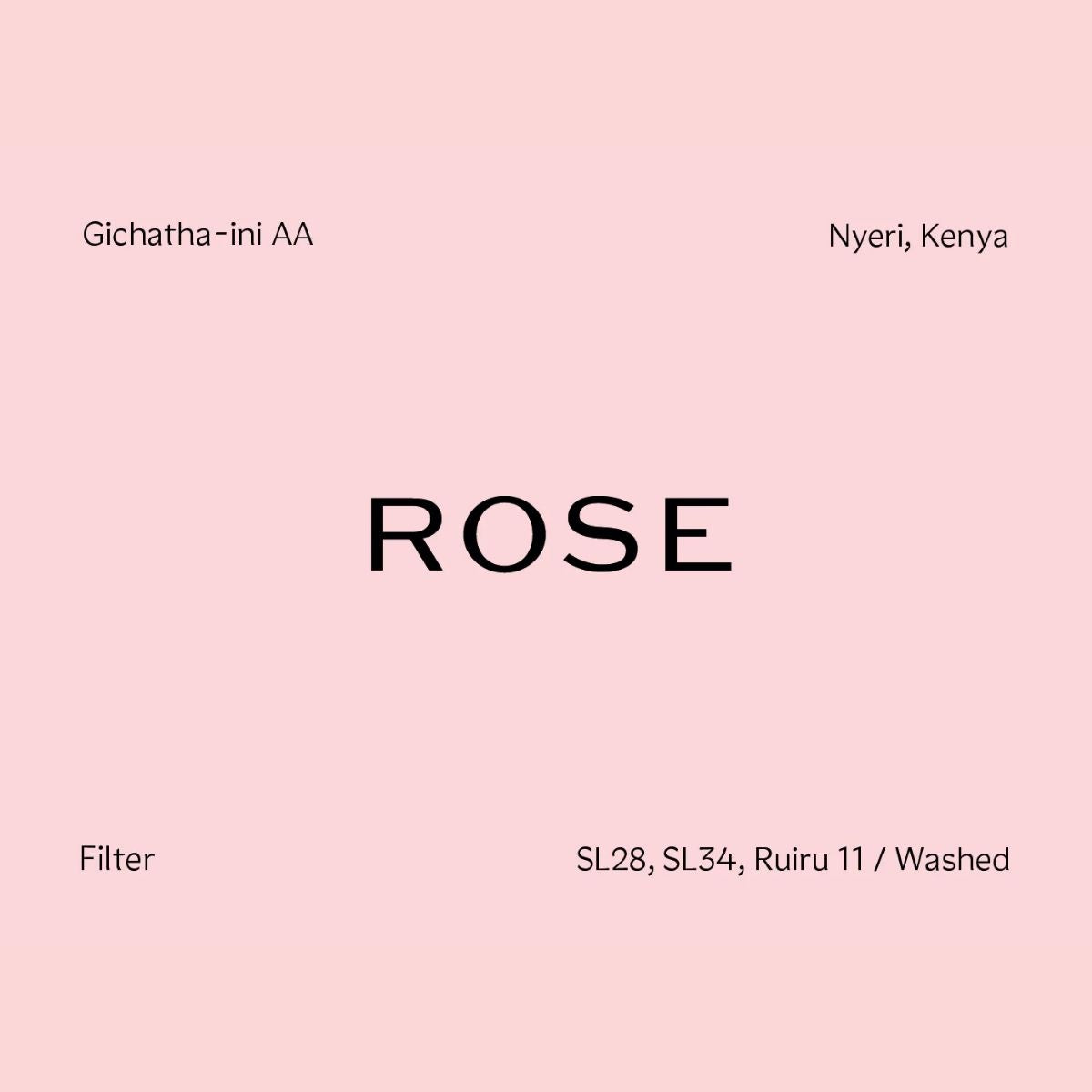 Rose - Gichatha-ini AA