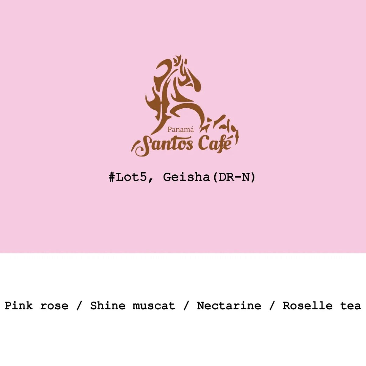 ★ Panama "Santos Café Lot5 " Dark Room Natural Gesha - Goût & Co