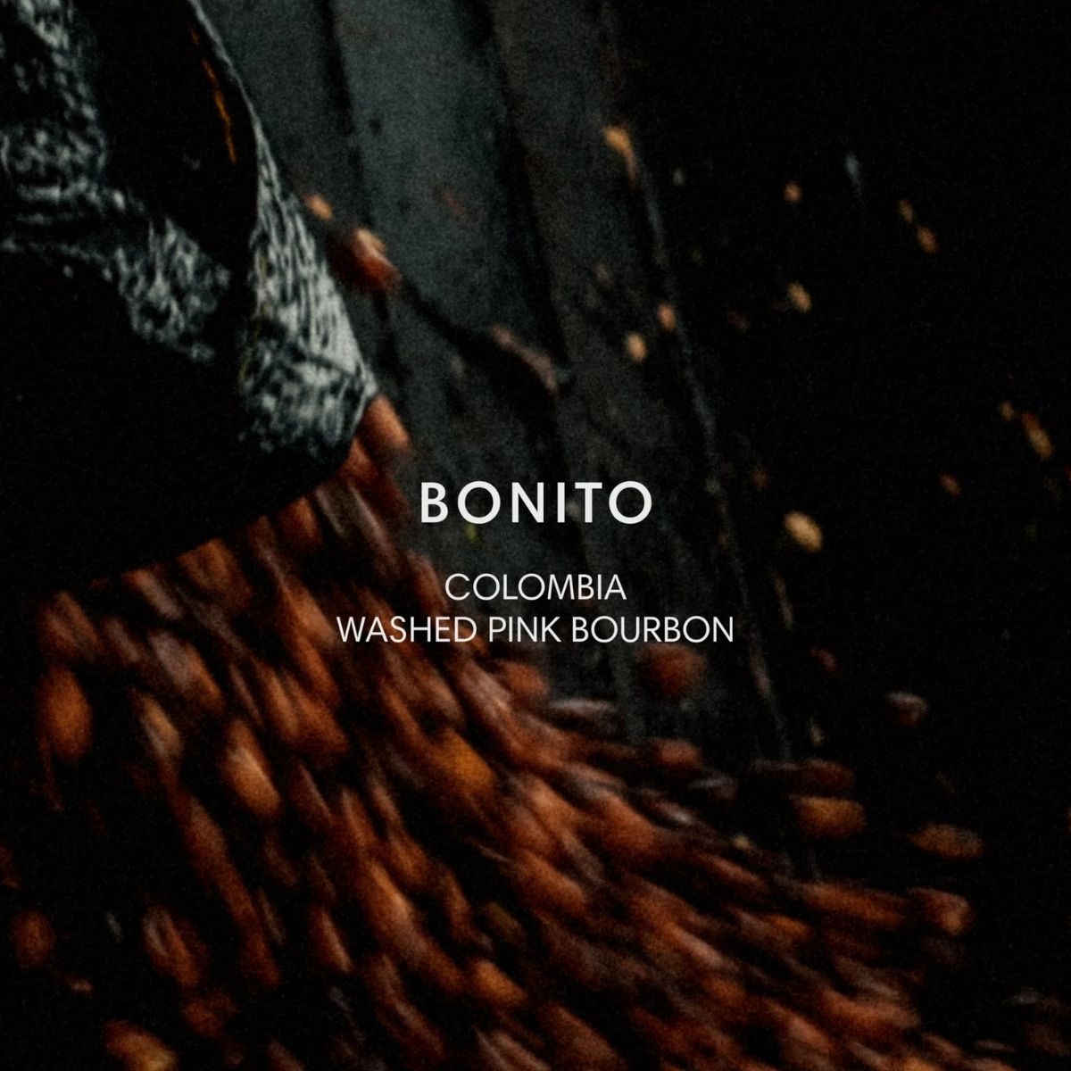 Colombia "Bonito" Washed Pink Bourbon - Mazelab