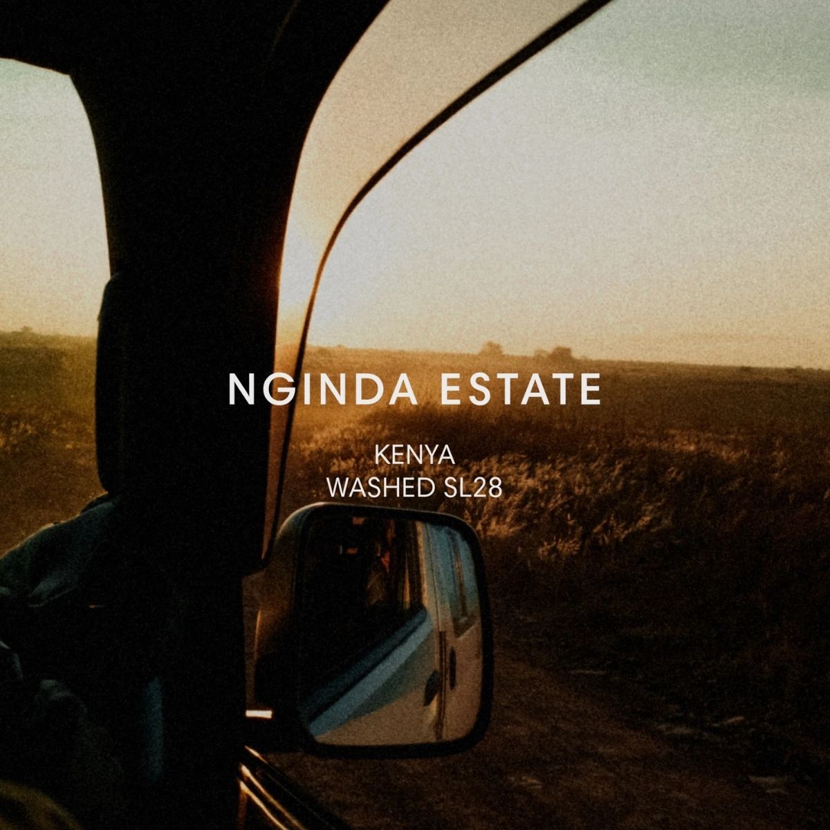 Kenya Washed SL28 - Mazelab
