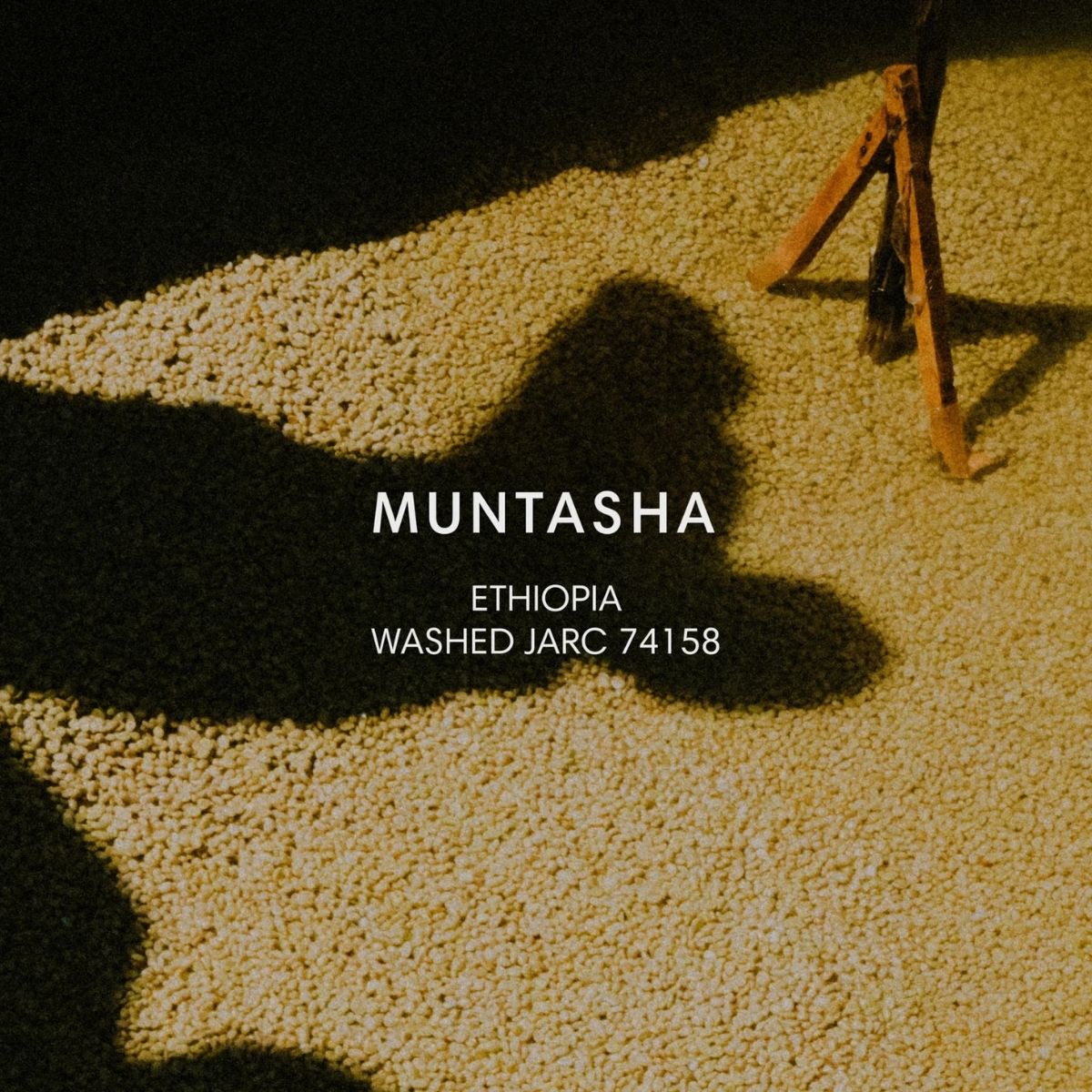 Ethiopia "Muntasha" Washed 74158 - Mazelab