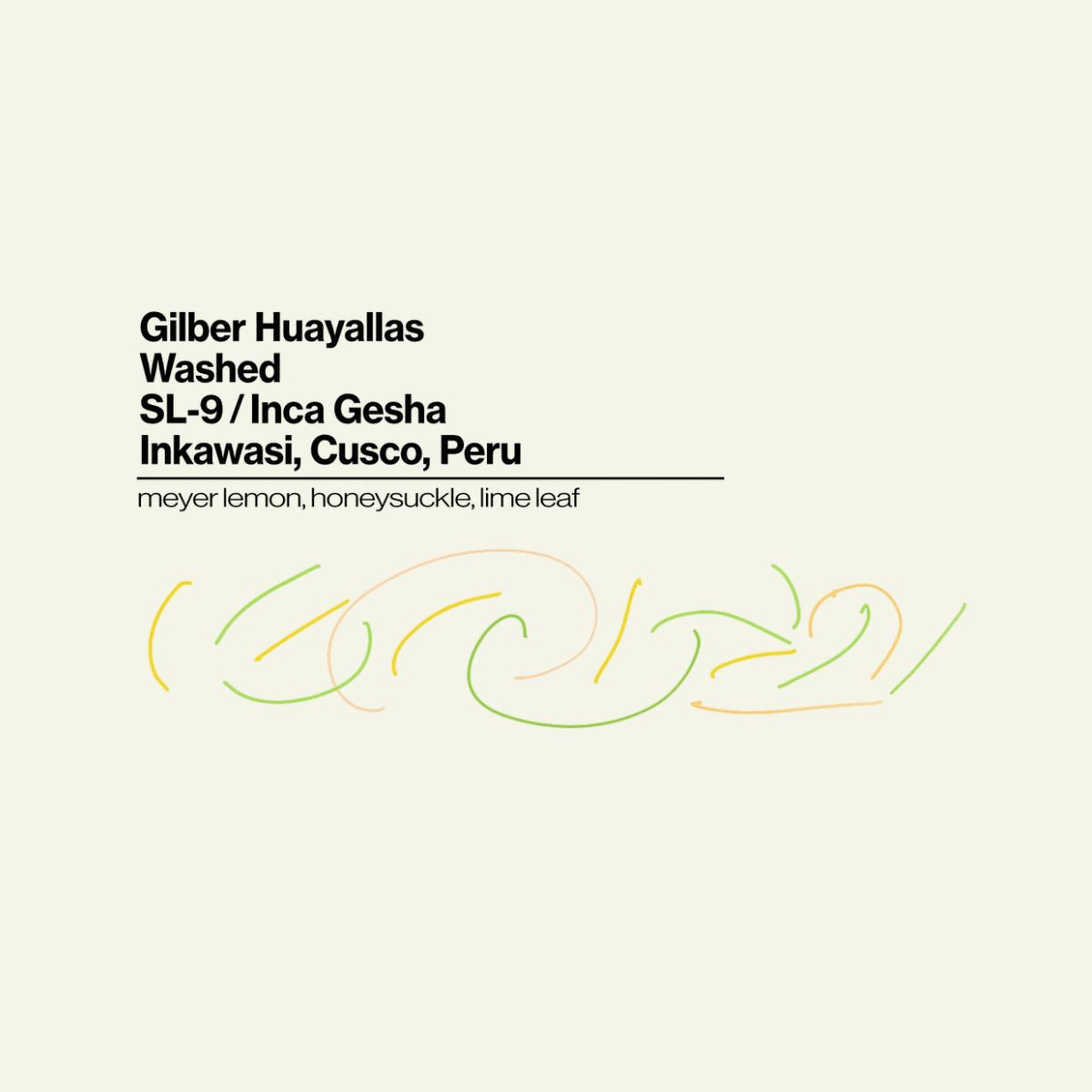 ★ Peru "Gilbert Huayallas" Washed SL9 - Norml