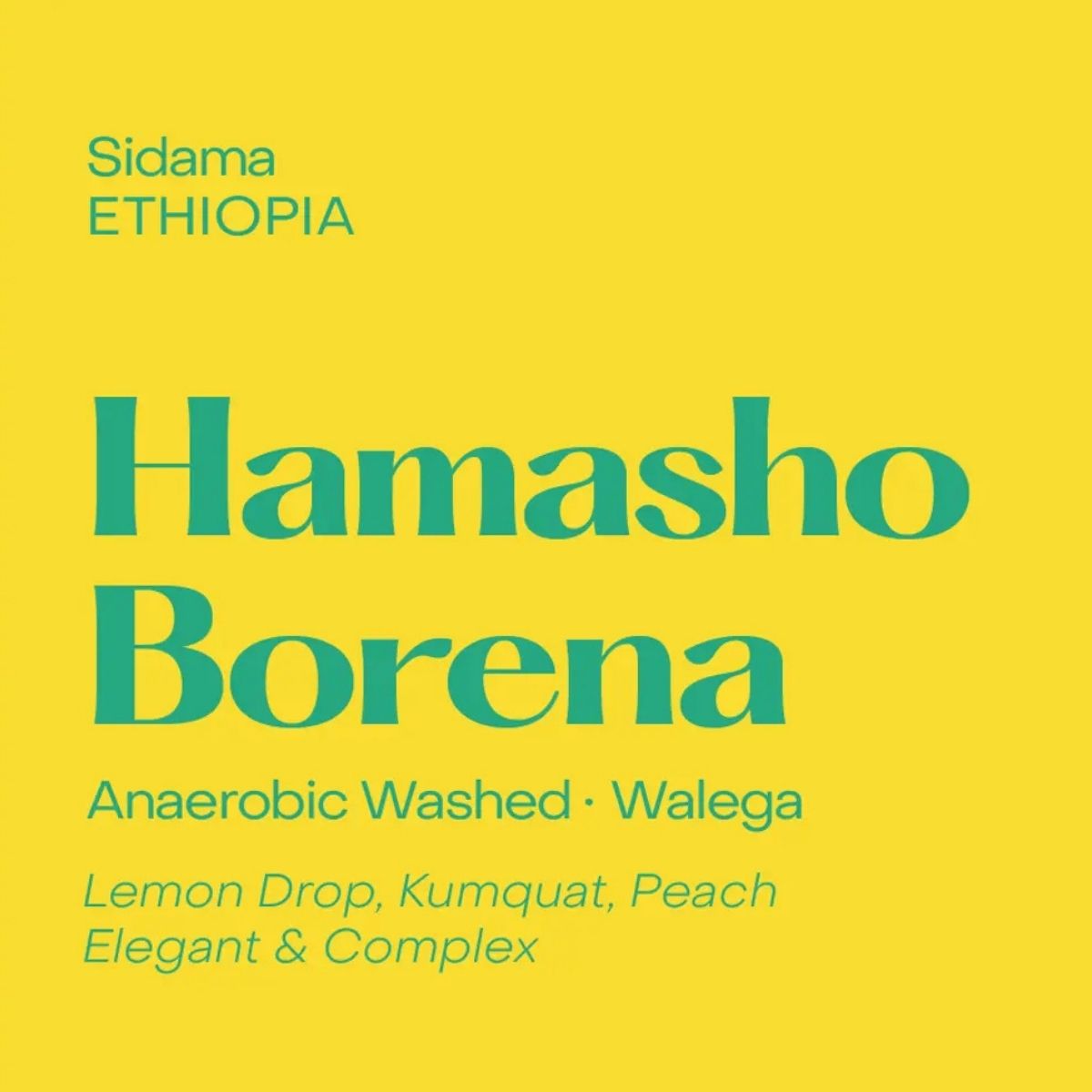 Ethiopia "Hamasho Borena" Anaerobic Washed Walega - Subtext Coffee