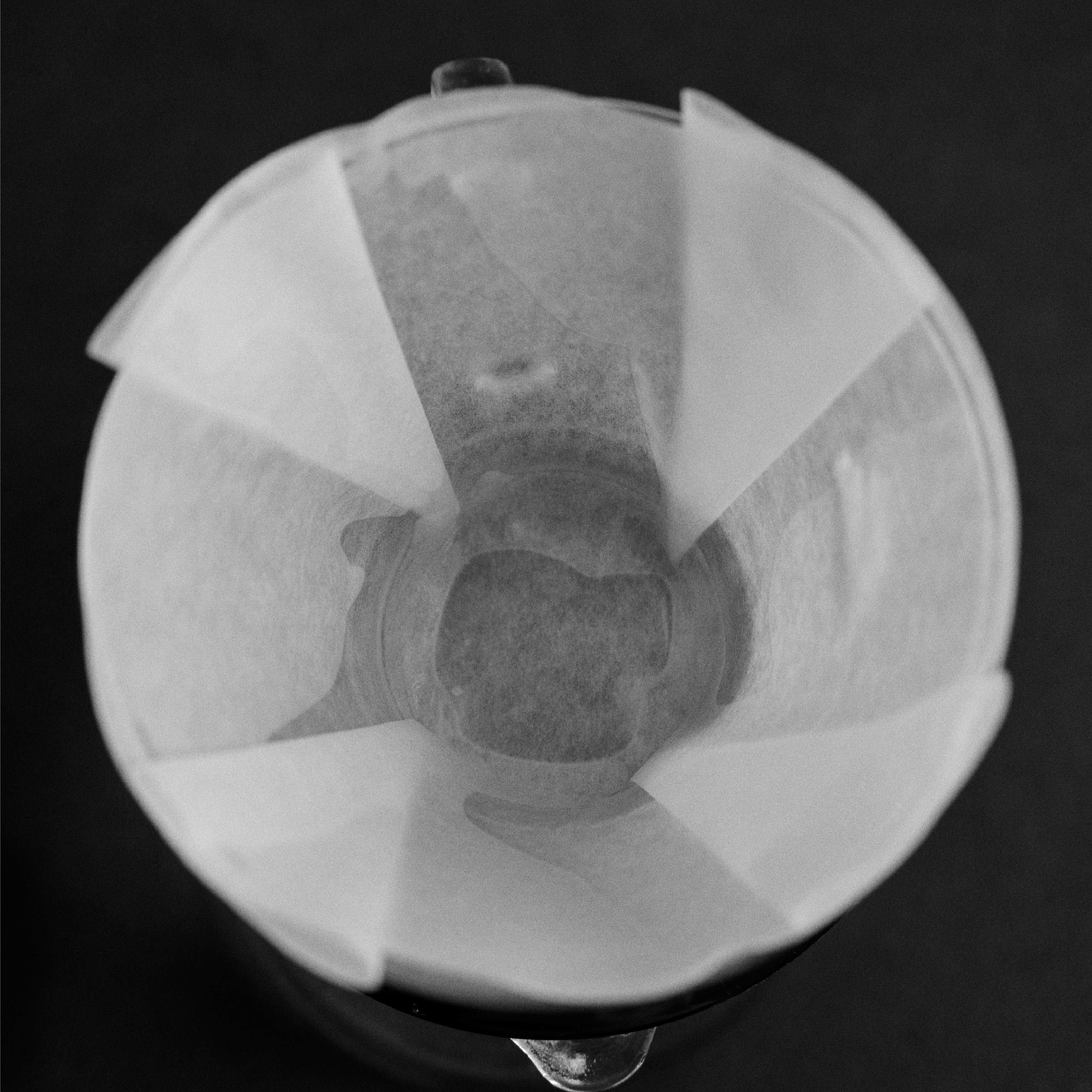 SIBARIST Flat - Specialty Coffee Filters