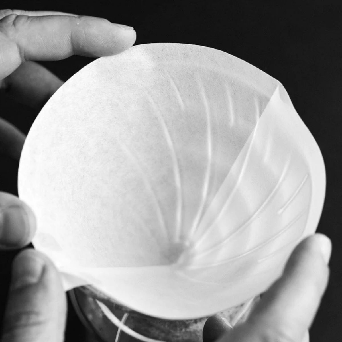 SIBARIST RARITIES - Limited Release Specialty Coffee Filters