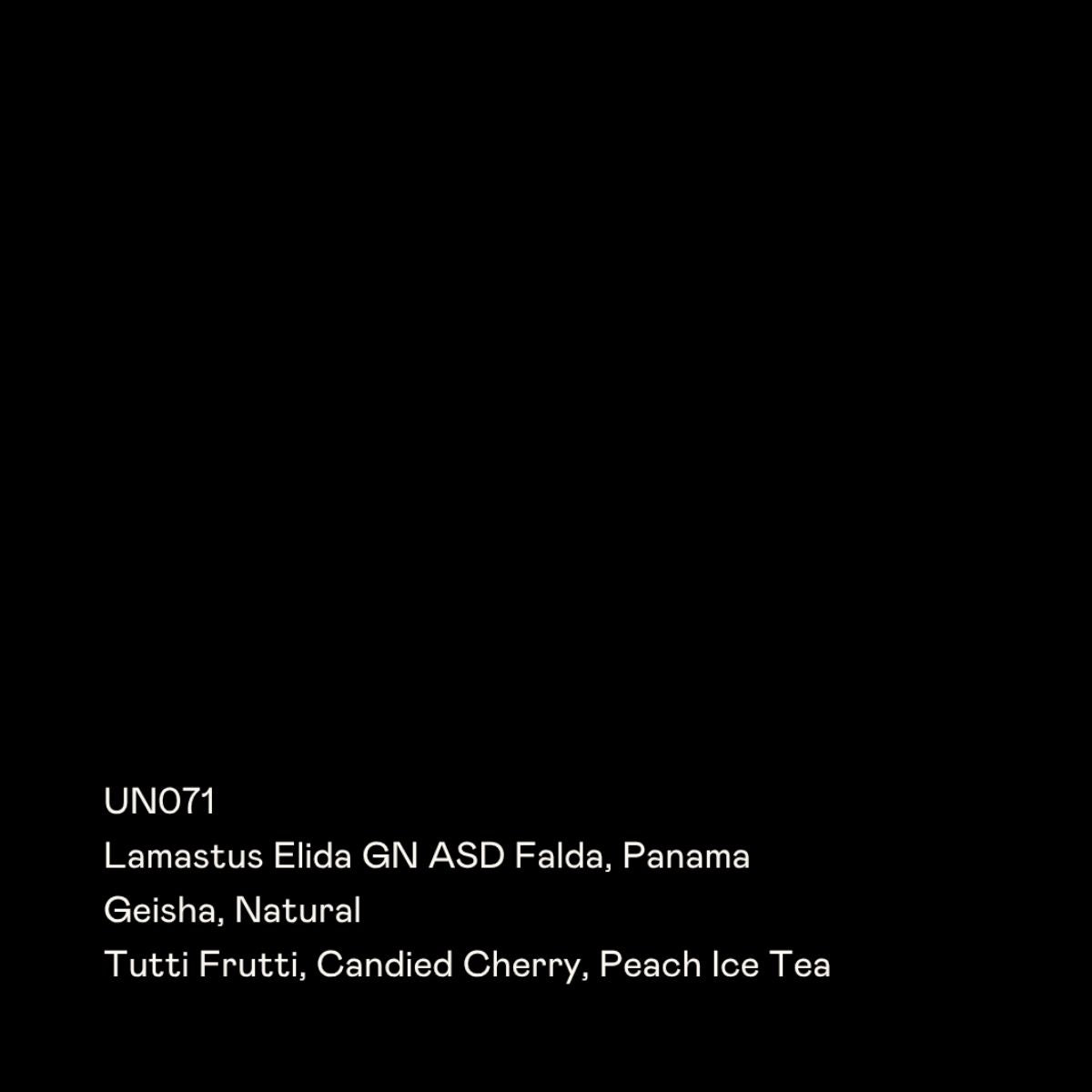 ★ Panama "Elida" ASD Natural Gesha - Special Guests Coffee Roasters