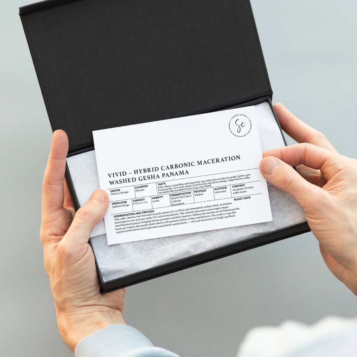 ★ Panama "Vivid" Hybrid Full Cherry Carbonic Maceration Washed Gesha - Standout Coffee