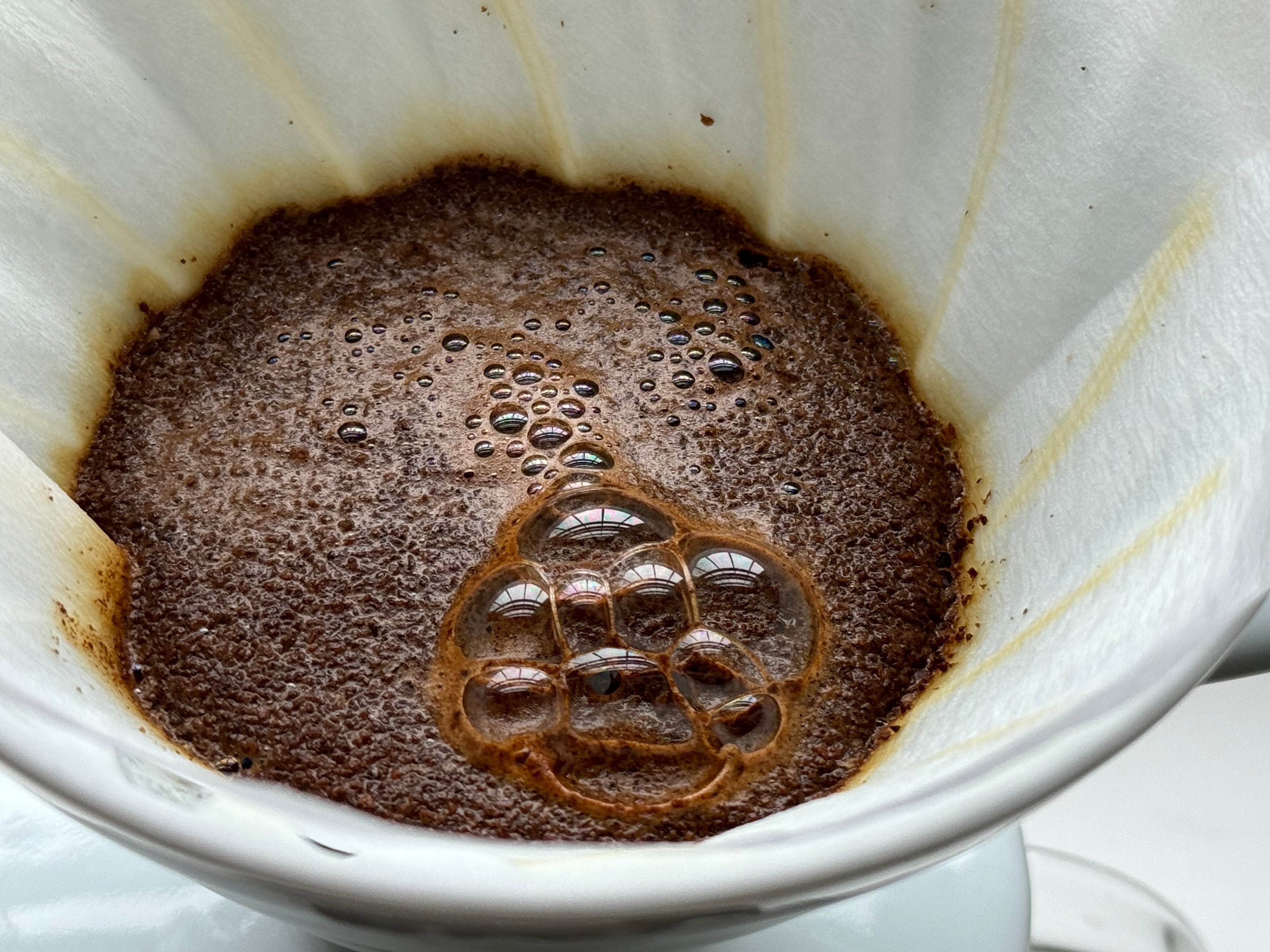 Resting Coffee: Why Fresh Isn't always best