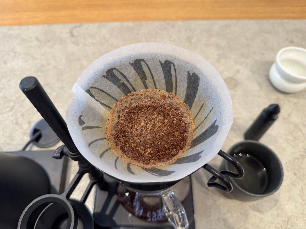 How to Brew Light Roast Coffee (Without the Sour Taste)