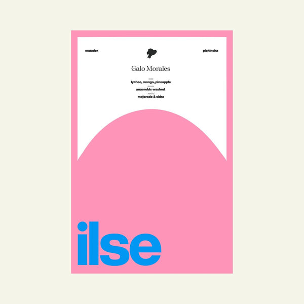 ILSE - Galo Morales Mejorado + Sidra *Special NBL Release*
