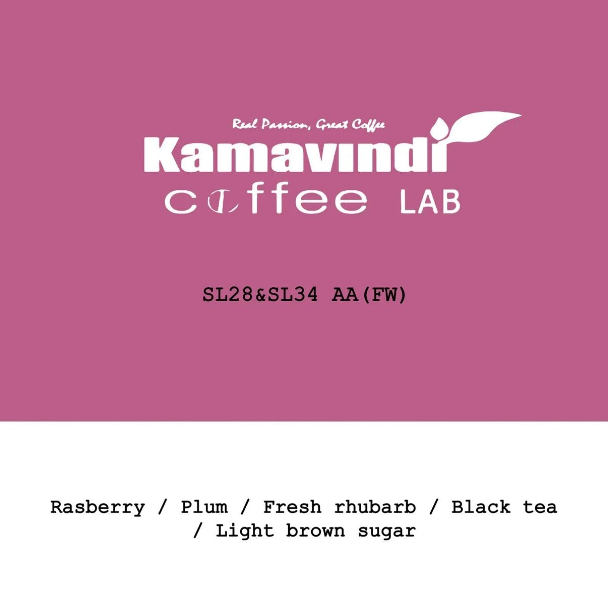 Kenya "Kamavindi" Washed SL28 + SL34 AA - Goût & Co