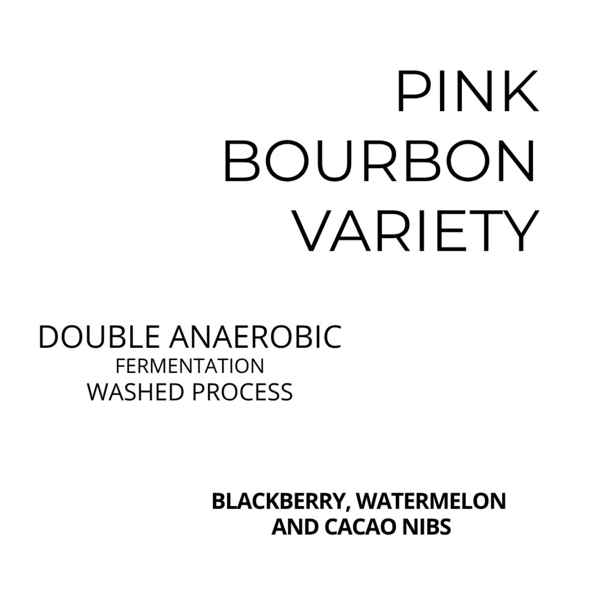 ★ Colombia "Too Sweet" Double Anaerobic Washed Pink Bourbon - Kissed By Liz