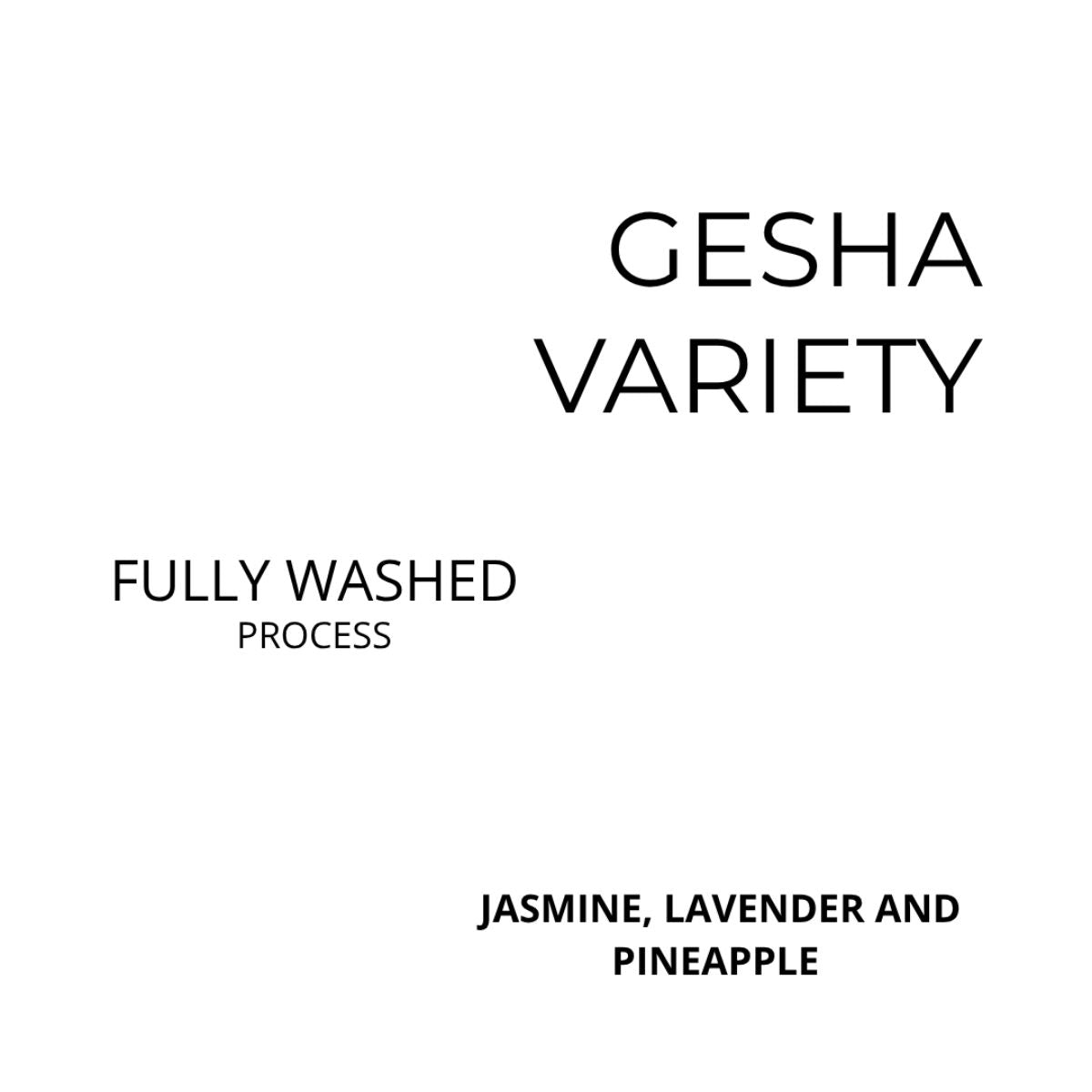 ★ Colombia "Close Enough" Fully Washed Gesha - Kissed By Liz