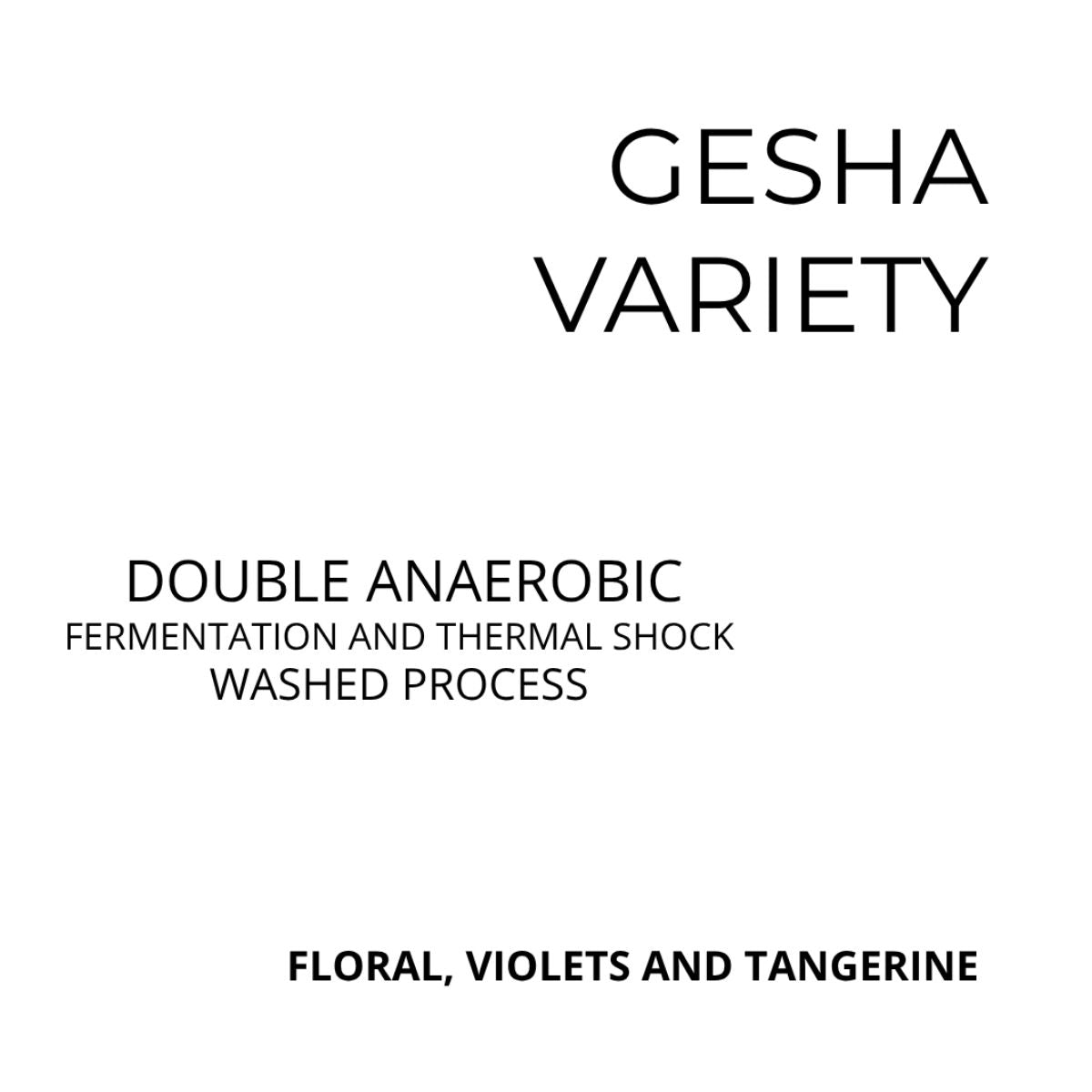 ★ Colombia "Bare Skin" Double Anaerobic Thermal Shock Washed Gesha - Kissed By Liz