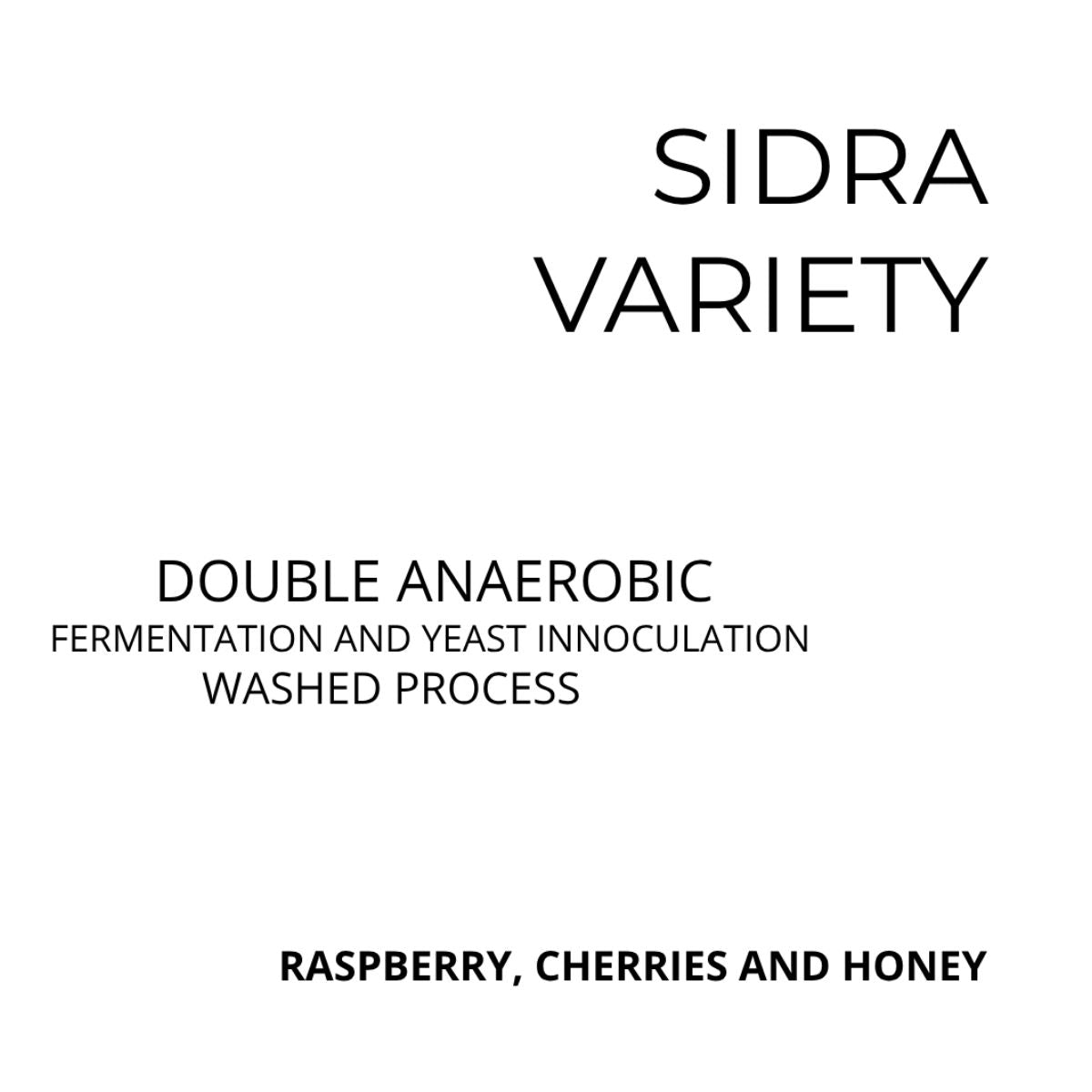 ★ Colombia "Loosened Tie" Double Anaerobic Yeast Inoculated Washed Sidra - Kissed By Liz