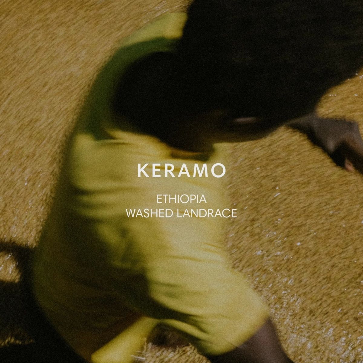 Ethiopia "Keramo" Washed Landrace - Mazelab