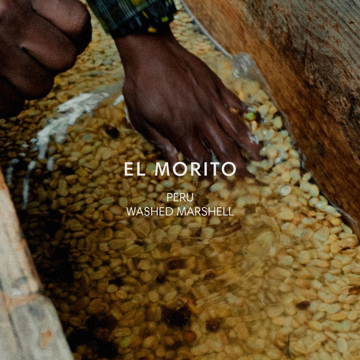 Peru "El Morito" Washed Marshell - Mazelab