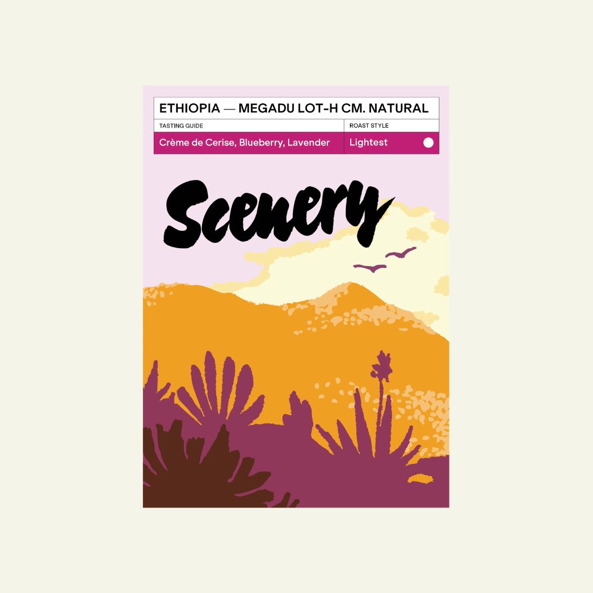 Ethiopia "Cherry Ascension" Carbonic Macerated Natural Wild Guji Megadu - Scenery