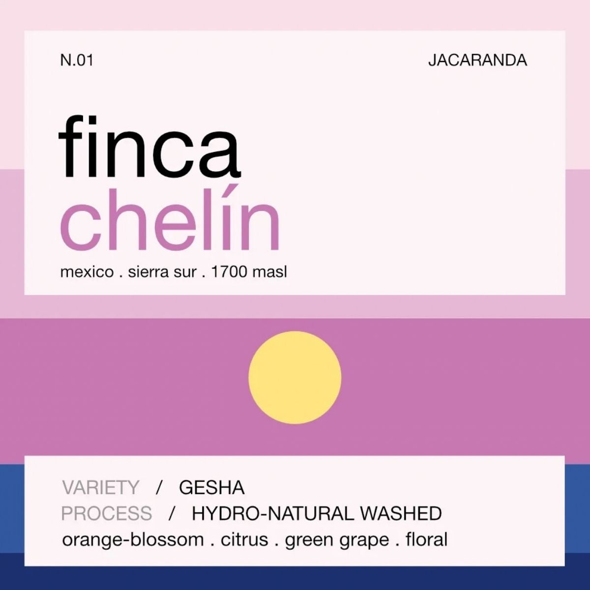 Mexico "Finca Chelin" Hydro-Natural Washed Gesha - Still