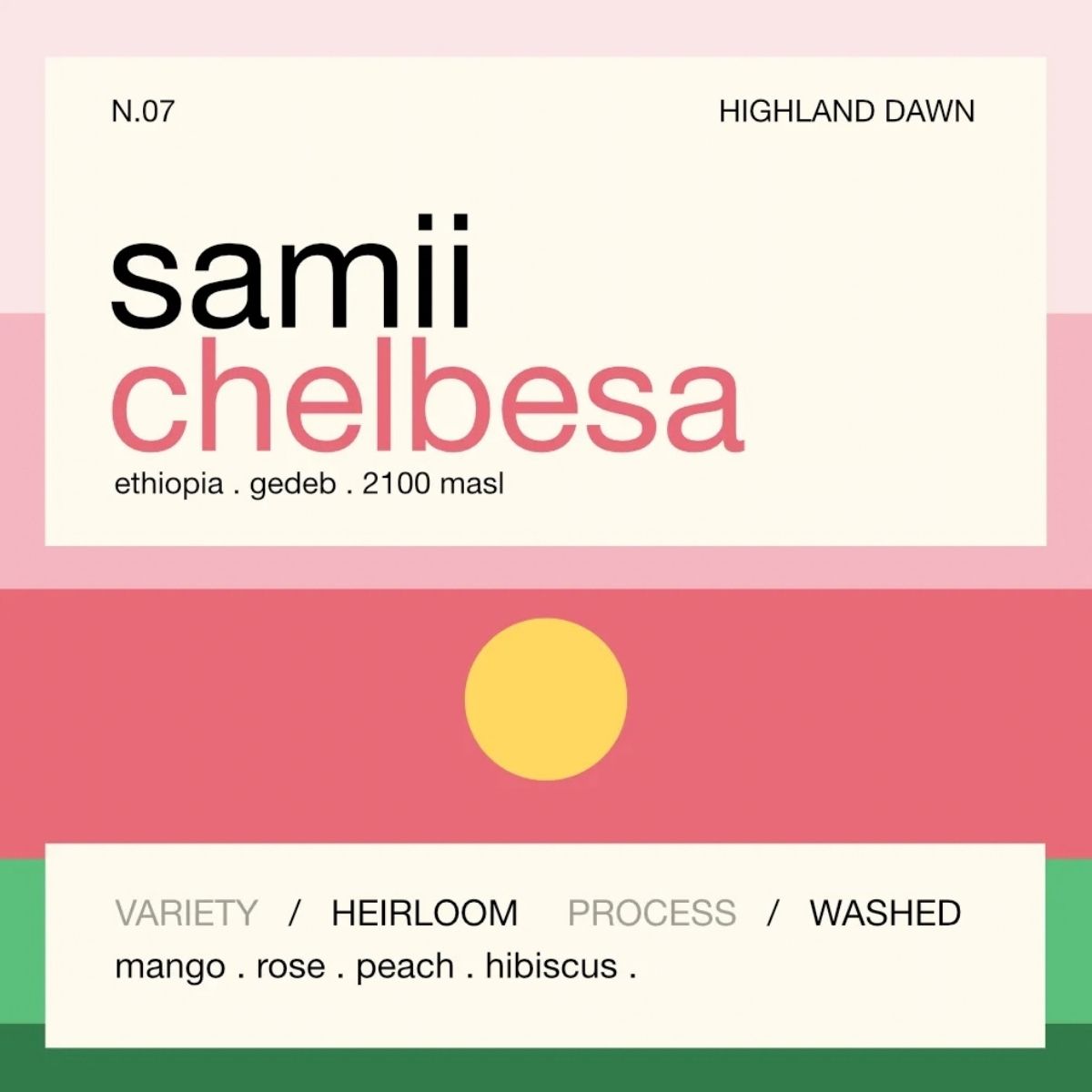 Ethiopia "Samii Chelbesa" Washed Heirloom - Still