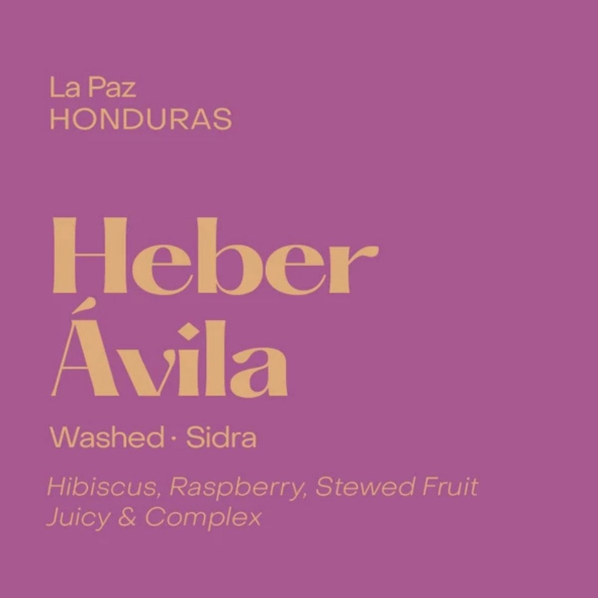 Honduras "Heber Ávila" Washed Sidra - Subtext Coffee