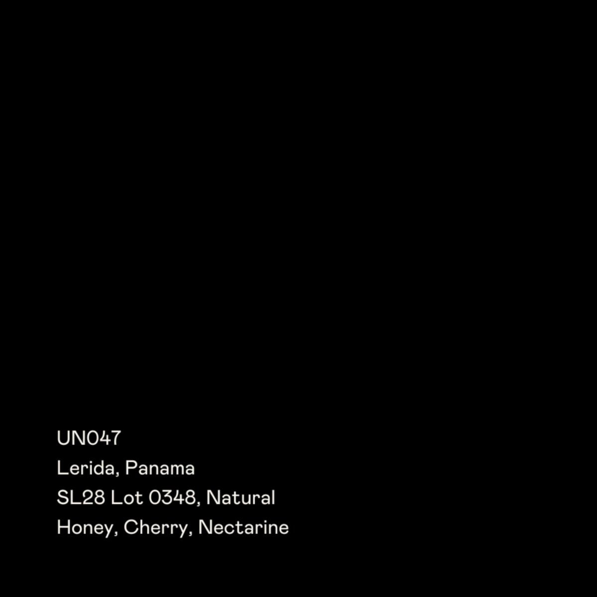★ Panama "UN047" Natural SL28 - Special Guests Coffee
