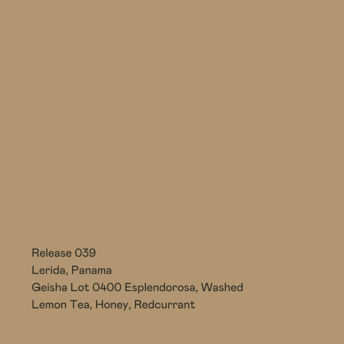 Panama "Release 039" Washed Gesha - Special Guests Coffee