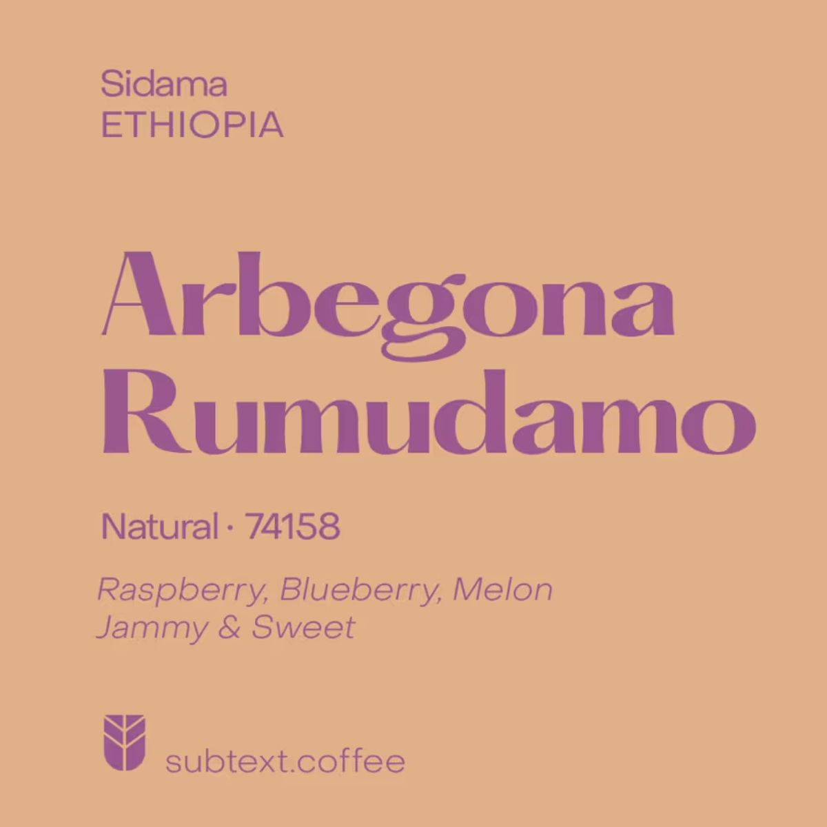 Ethiopia "Arbegona Rumudamo" Natural 74158 - Subtext Coffee